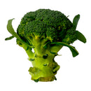Broccoli - 550g