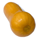 Butternut Squash - Each