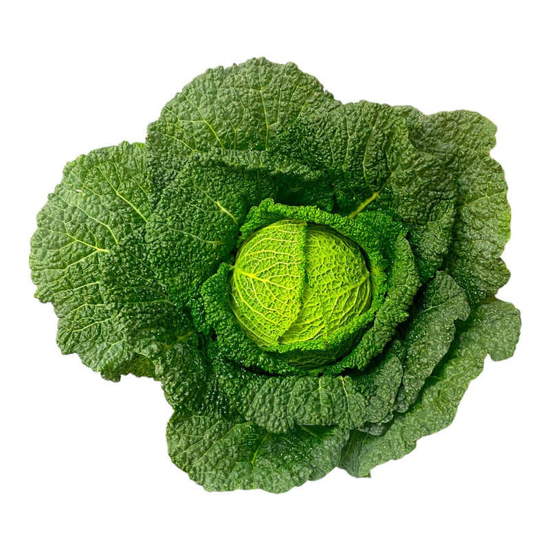 Savoy Cabbage - Each