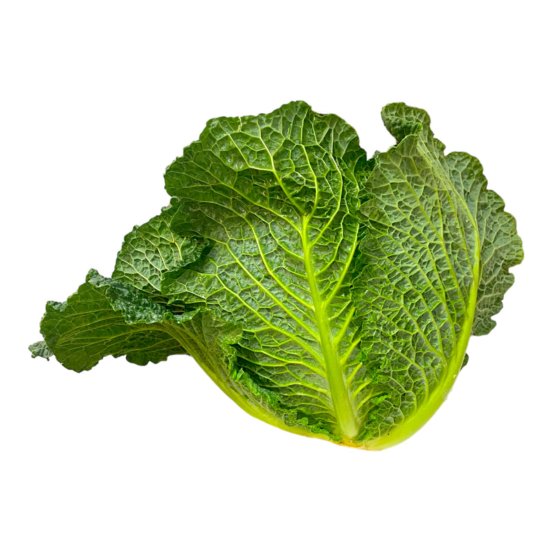 Savoy Cabbage - Each