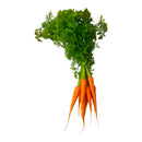 Bunched Carrots