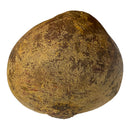 Raw Beetroot - Each
