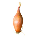 Banana Shallots - 250g