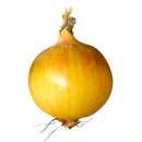 English Onions 4kg