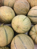 Cantaloupe Melon Each