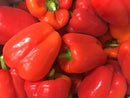 Peppers - Red Each