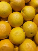 Oranges - Large