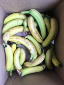 Bananas 2nds - KG