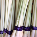 Lemongrass Individual Stem