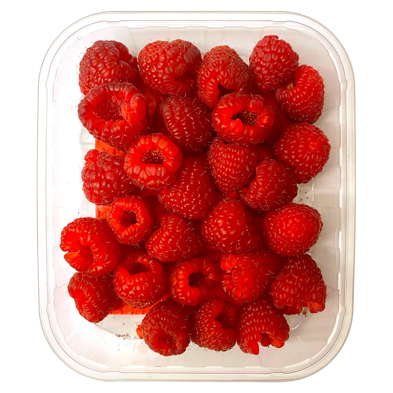 Single Layer Raspberry Punnet Raspberries - Punnet