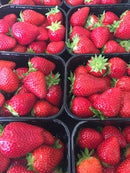 Strawberries Punnet