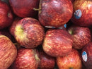 Apples - Royal Gala Each