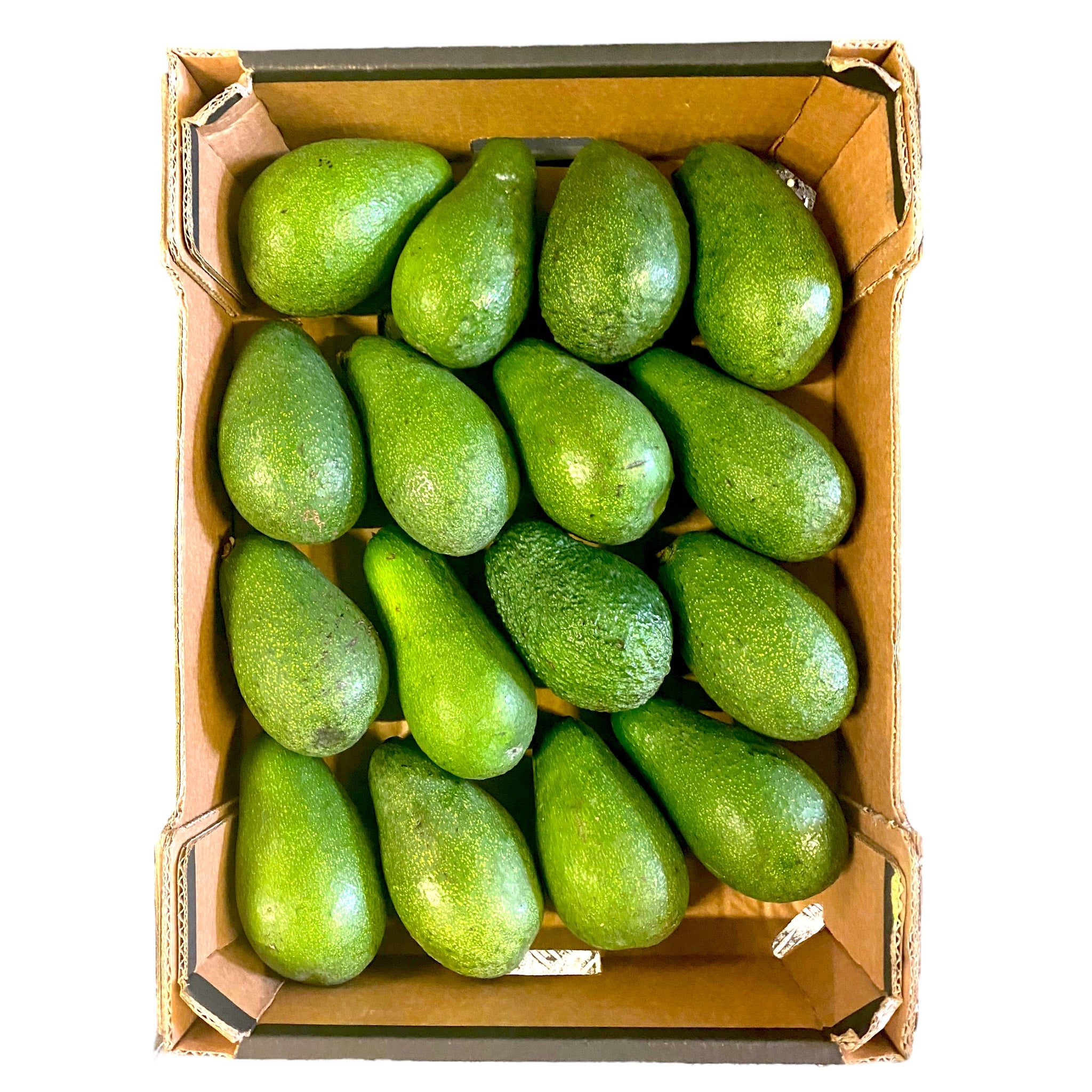 Avocado In Box Green Avocados Box