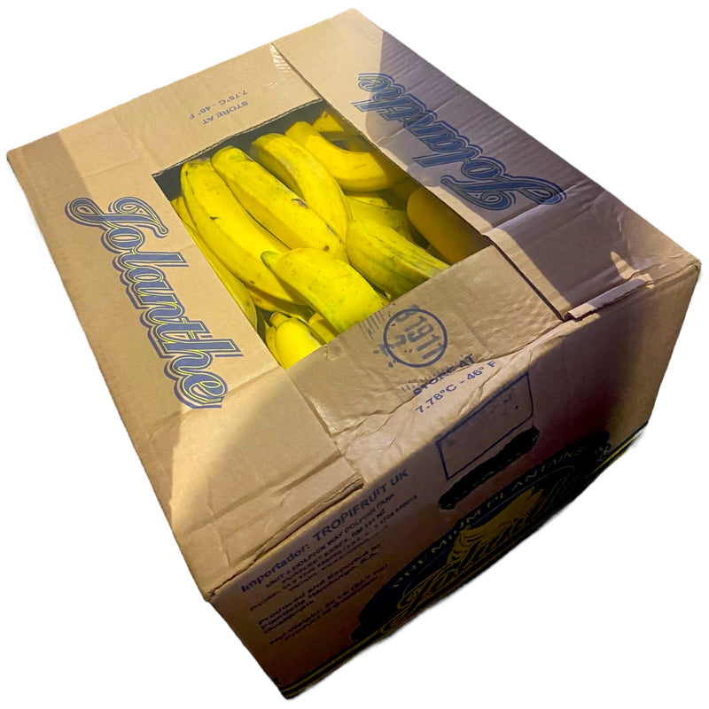 Plantain - Box