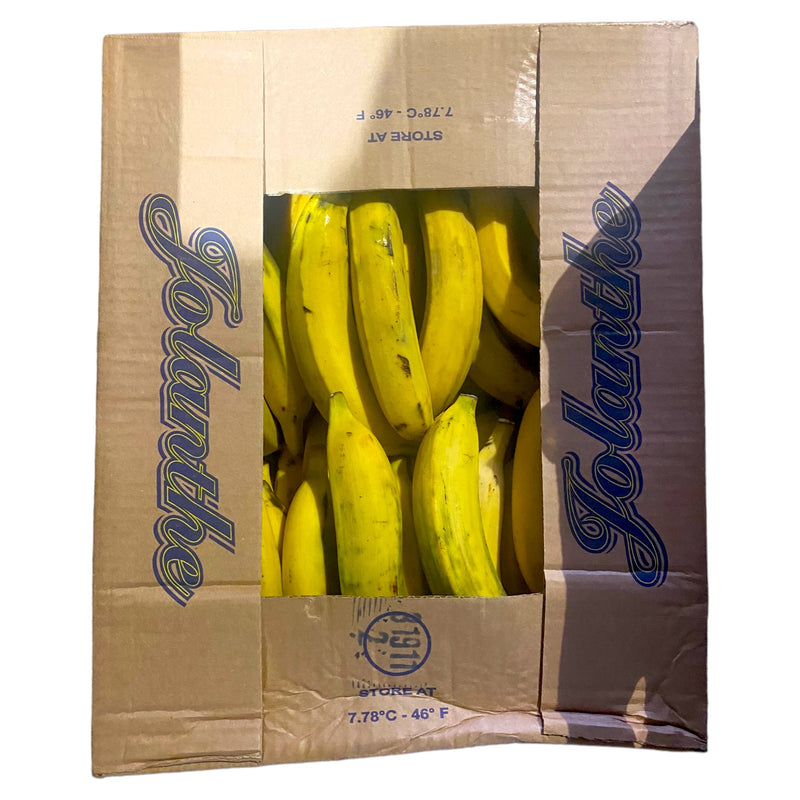 Plantain - Box