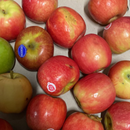 Apples - Slightly Blemished 1kg