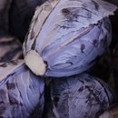 Red Cabbage - 500g
