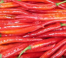 Chillis - Long Red Each