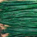 Herbs - Chives 100g