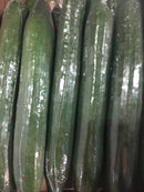 Cucumber - Each