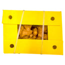 Ginger 10kg