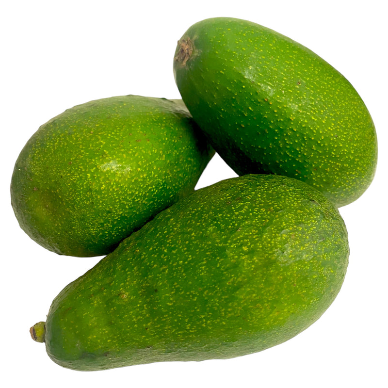 Avocado - Green