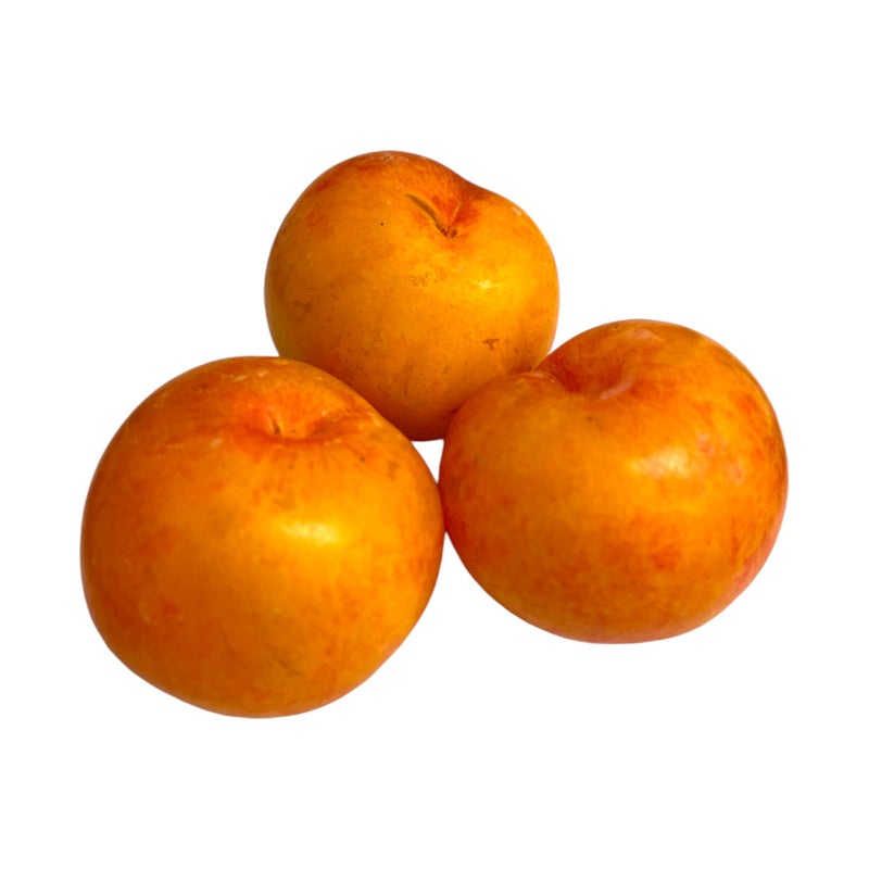 Yellow Plum - Per lb