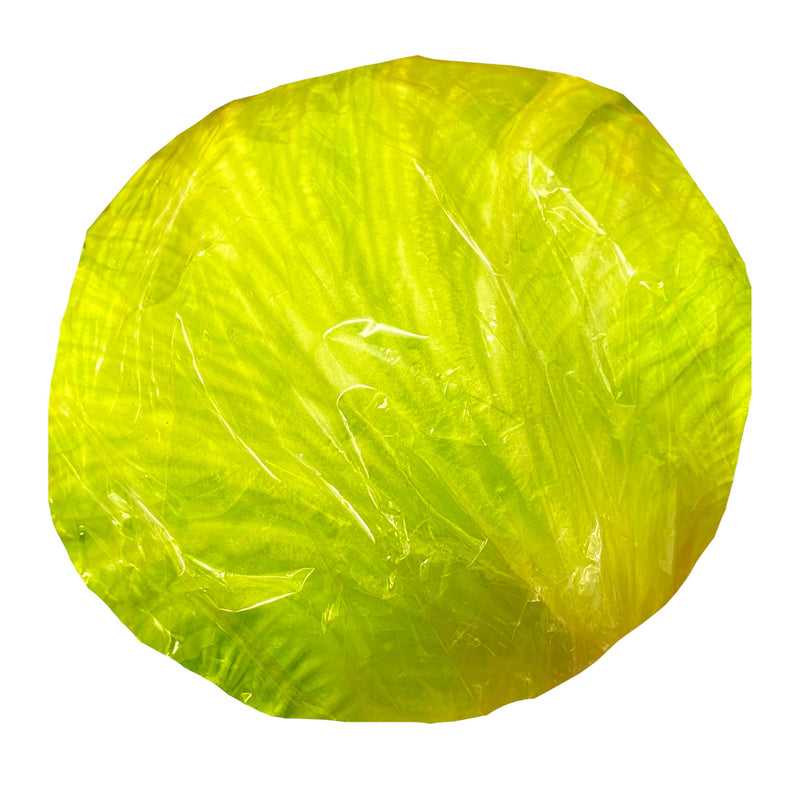 Iceberg Lettuce - Each