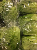 Lettuce - Little Gem