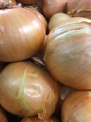 Onions - Spanish Mild 450g