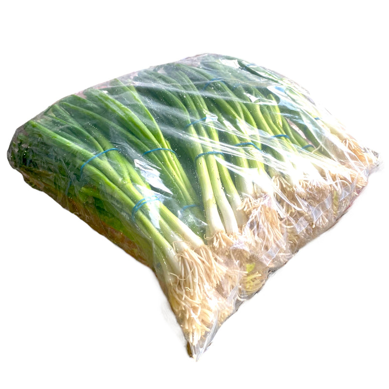 Spring Onion 12pk