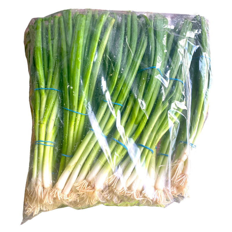 Spring Onion 12pk