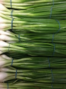 Spring Onion Bunch