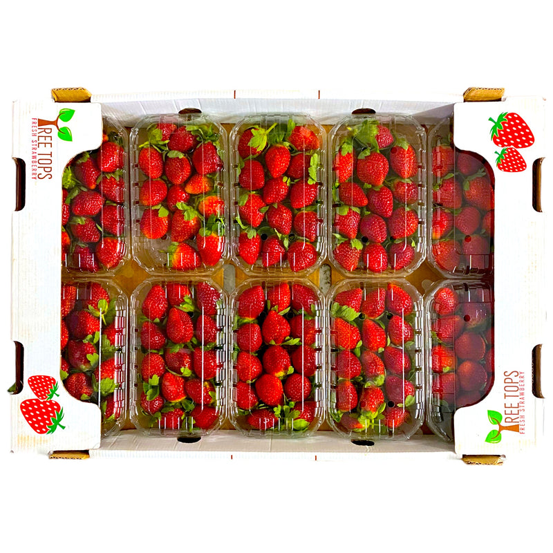 Strawberry 12 x 270g