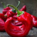 Sweet Romano Pointed Pepper - Each