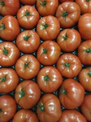 Tomatoes - Beef Each