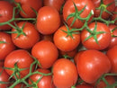 Tomatoes - Vine 500g