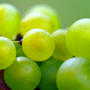 Grapes - White Seedless 500g