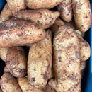 Cyprus Potatoes per Kg